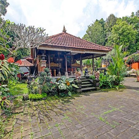 Oyo Homes 91091 Desa Wisata Umejero Munduk Eksteriør billede
