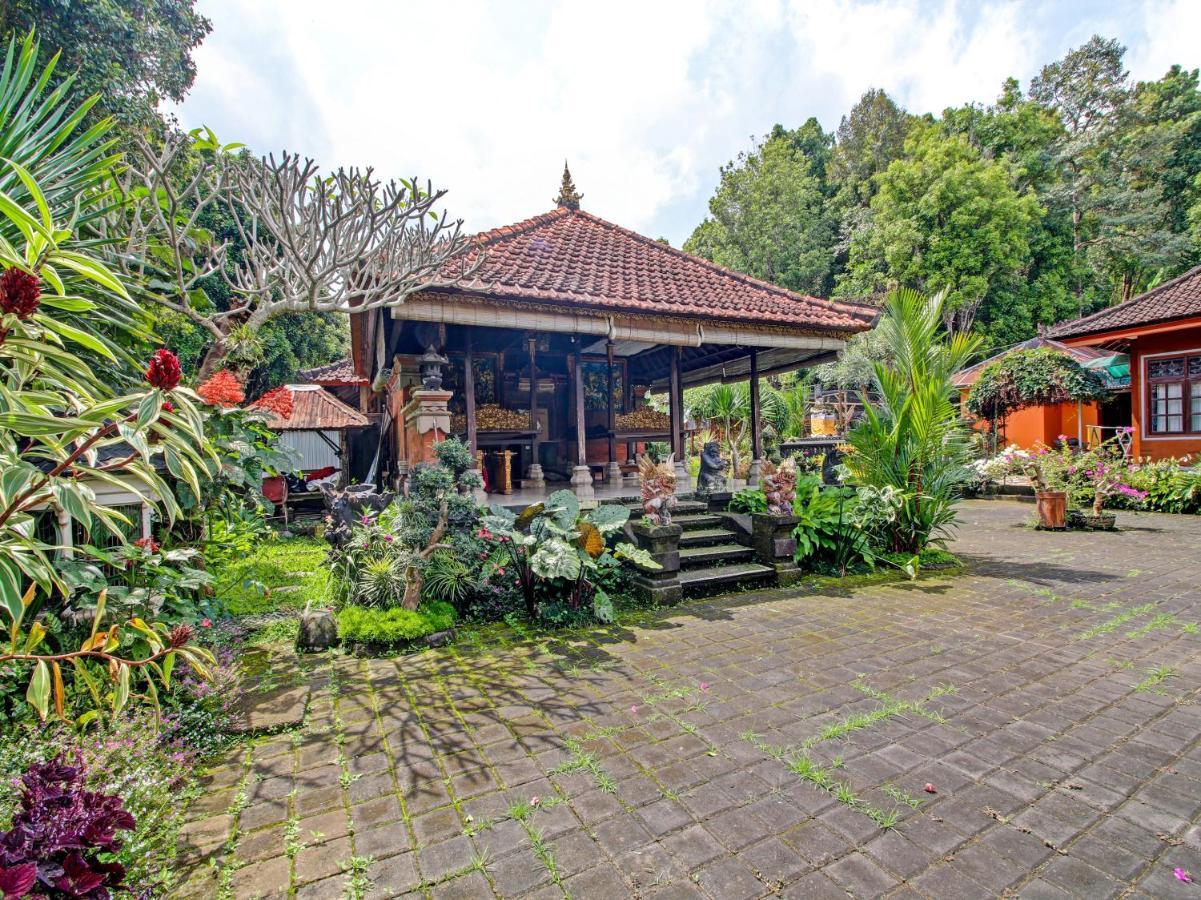 Oyo Homes 91091 Desa Wisata Umejero Munduk Eksteriør billede