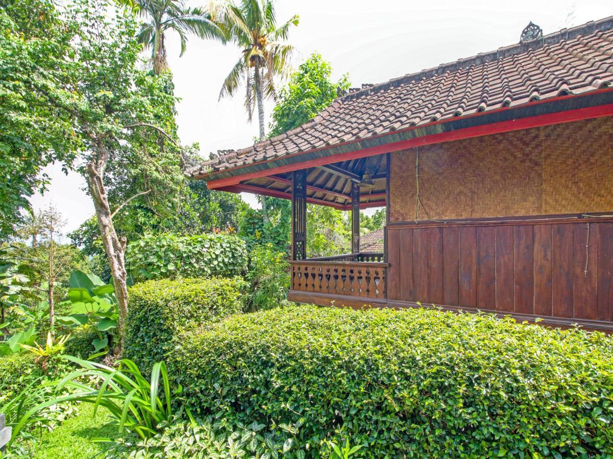 Oyo Homes 91091 Desa Wisata Umejero Munduk Eksteriør billede