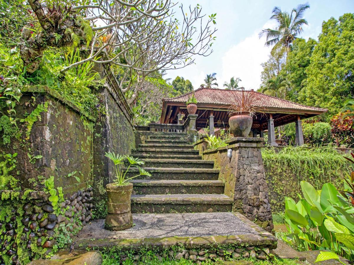Oyo Homes 91091 Desa Wisata Umejero Munduk Eksteriør billede