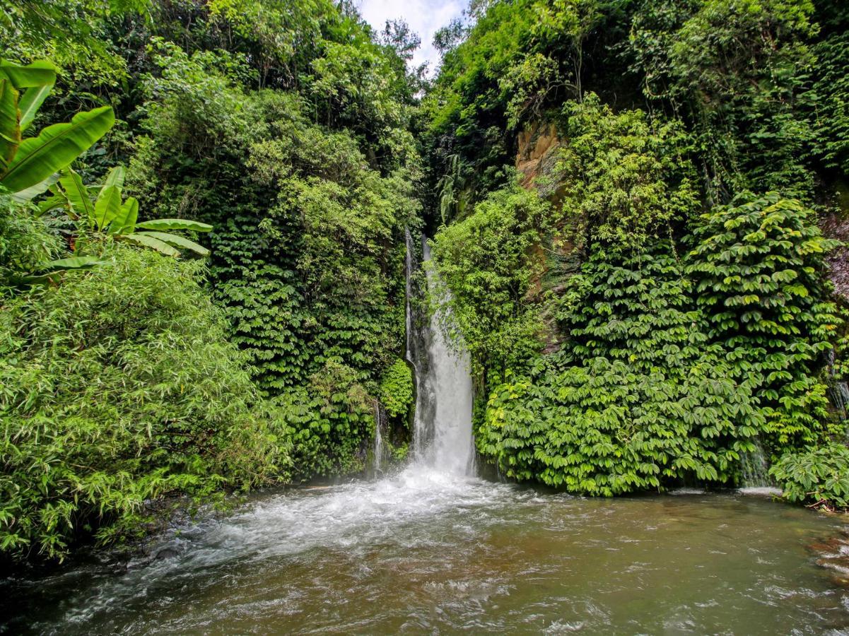 Oyo Homes 91091 Desa Wisata Umejero Munduk Eksteriør billede
