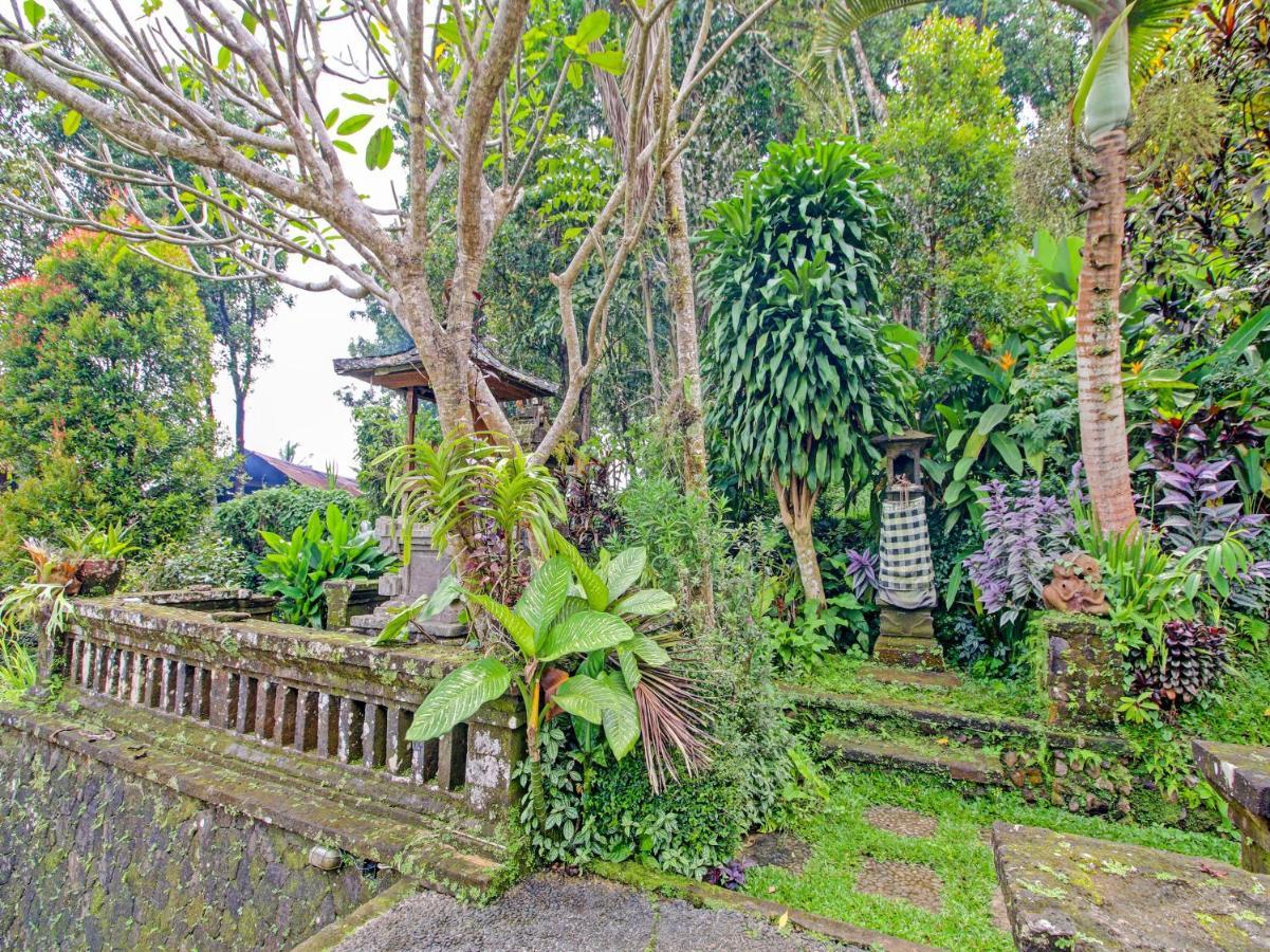 Oyo Homes 91091 Desa Wisata Umejero Munduk Eksteriør billede