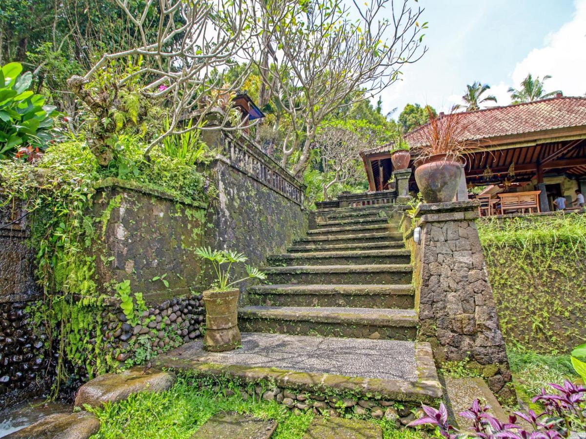 Oyo Homes 91091 Desa Wisata Umejero Munduk Eksteriør billede