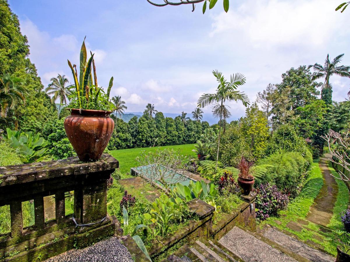 Oyo Homes 91091 Desa Wisata Umejero Munduk Eksteriør billede
