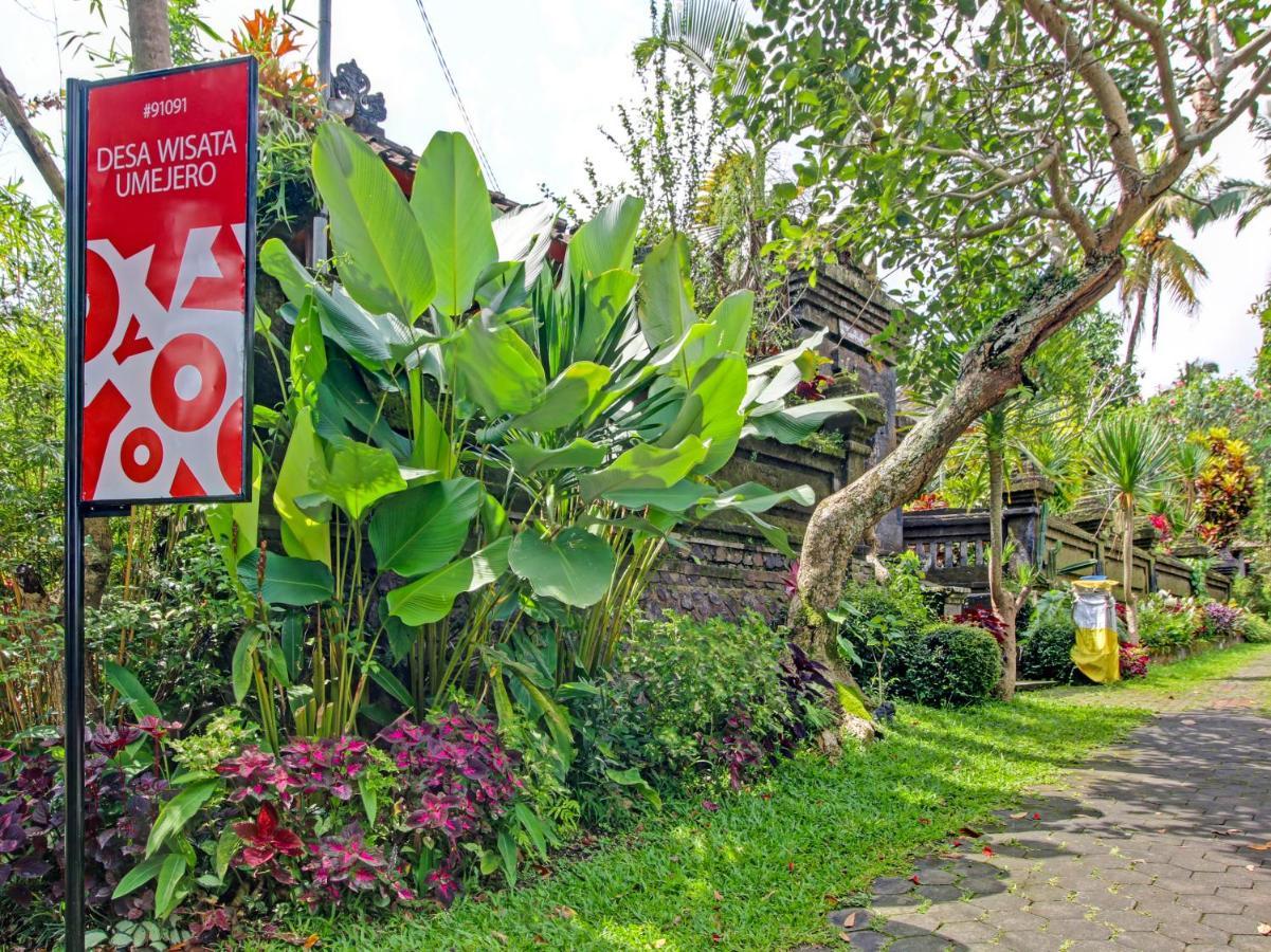 Oyo Homes 91091 Desa Wisata Umejero Munduk Eksteriør billede